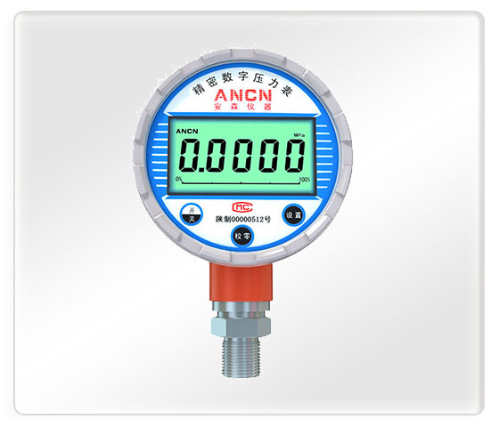防爆数字压力表ACD-200