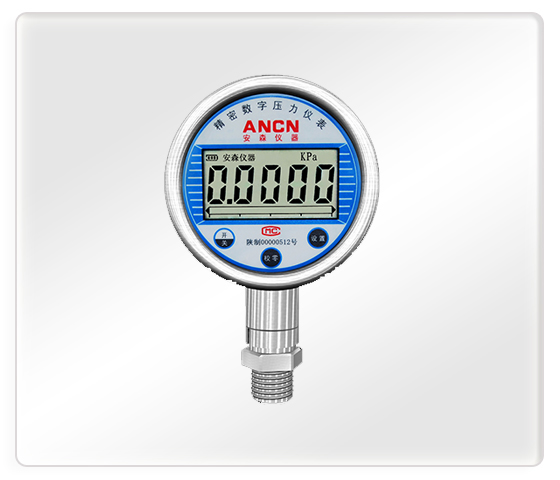 数字压力控制仪ACD-2K