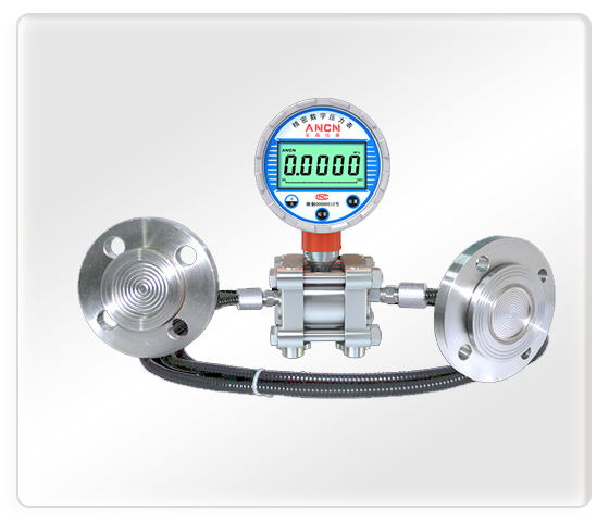 数显双法兰差压液位计ACD-3150