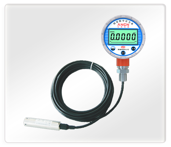 数显静压液位计ACD-200L